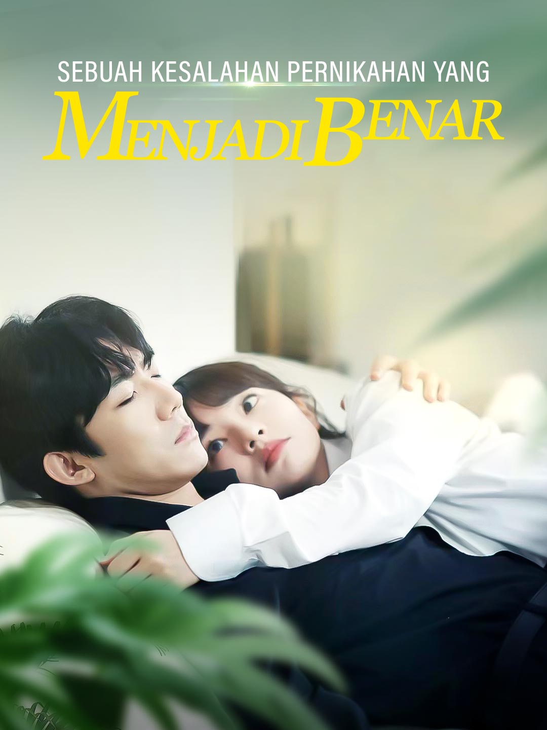 Poster Sebuah Kesalahan Pernikahan yang Menjadi Benar