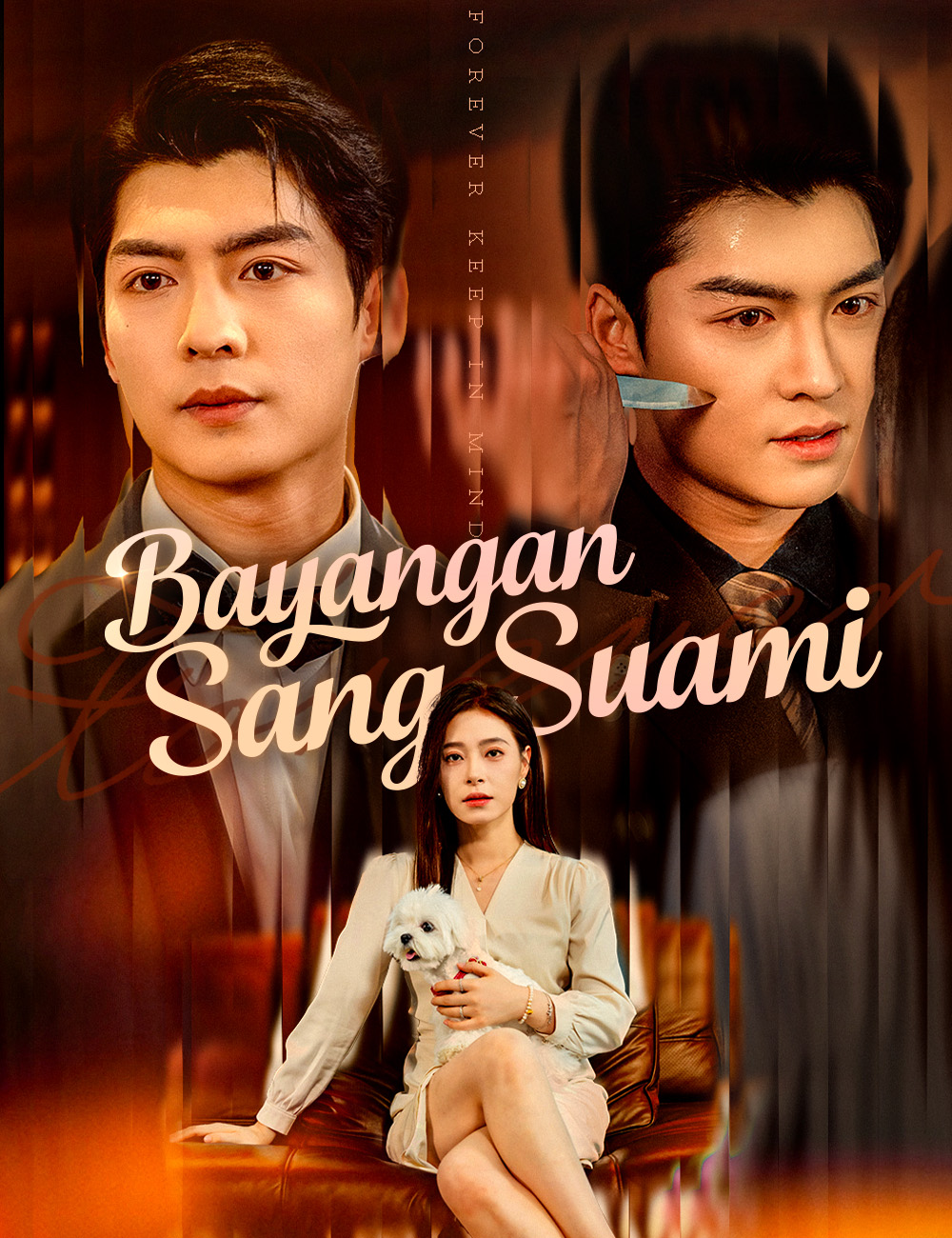 Poster Bayangan Sang Suami