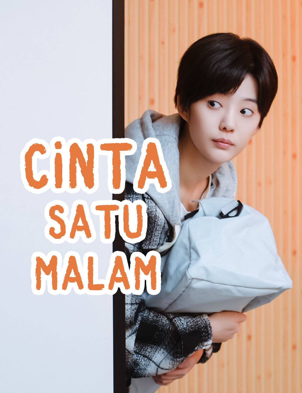 Poster Cinta Satu Malam